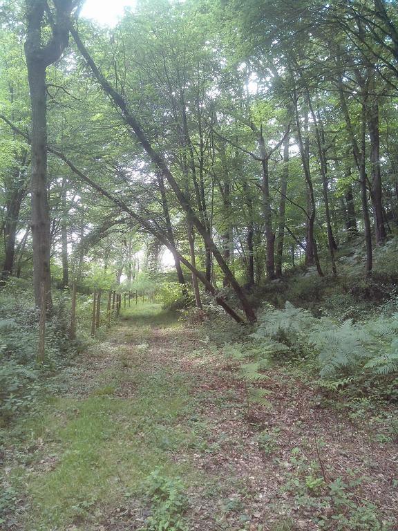 Les Gites De Castera Aire-sur-lʼAdour Εξωτερικό φωτογραφία