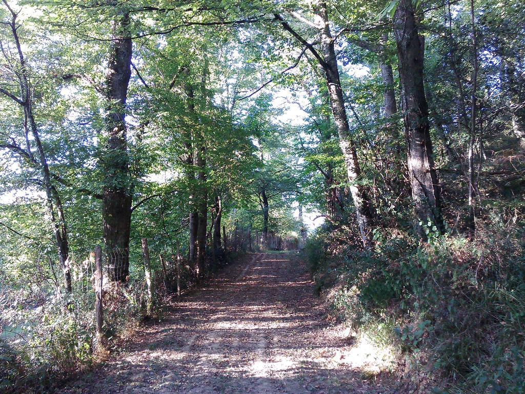 Les Gites De Castera Aire-sur-lʼAdour Εξωτερικό φωτογραφία